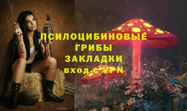 кокаин Алексеевка